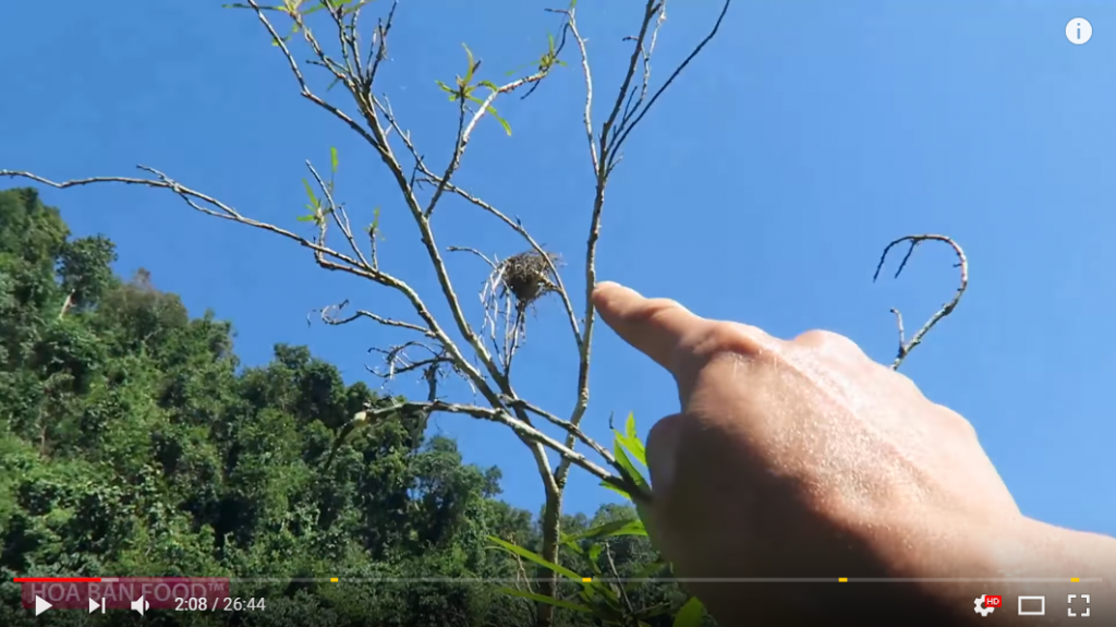tân hoa ban food quay phim